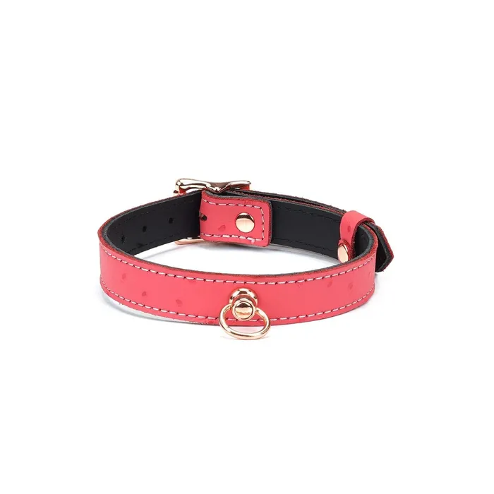 Liebe Seele Male Sex Toys Liebe Seele Angels Kiss Smalle Choker Met Oring Luxe En exclusief ontwerp RozeRos Goud Liebe Seele Male Sex Toys Liebe Seele Angels Kiss Smalle Choker Met Oring Luxe En exclusief ontwerp RozeRos Goud