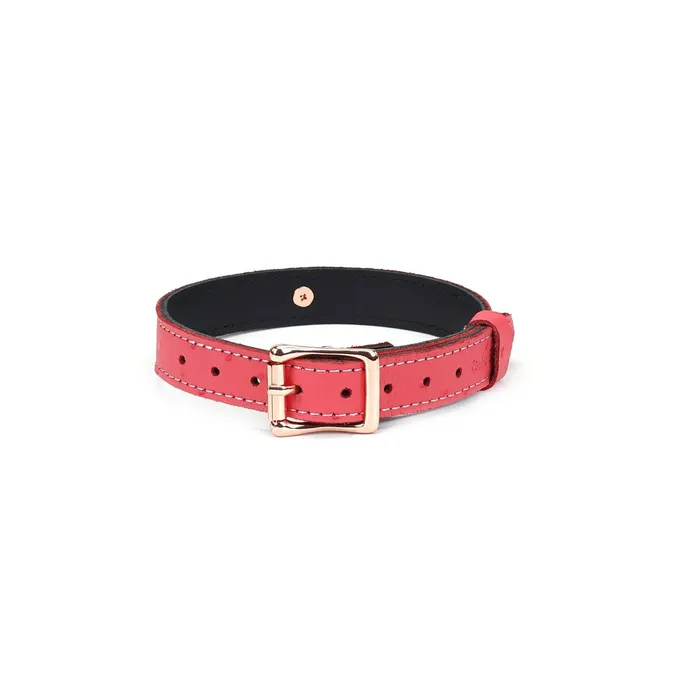 Liebe Seele Male Sex Toys | Liebe Seele - Angel's Kiss - Smalle Choker Met O-ring - Luxe En exclusief ontwerp - Roze/Rosé Goud
