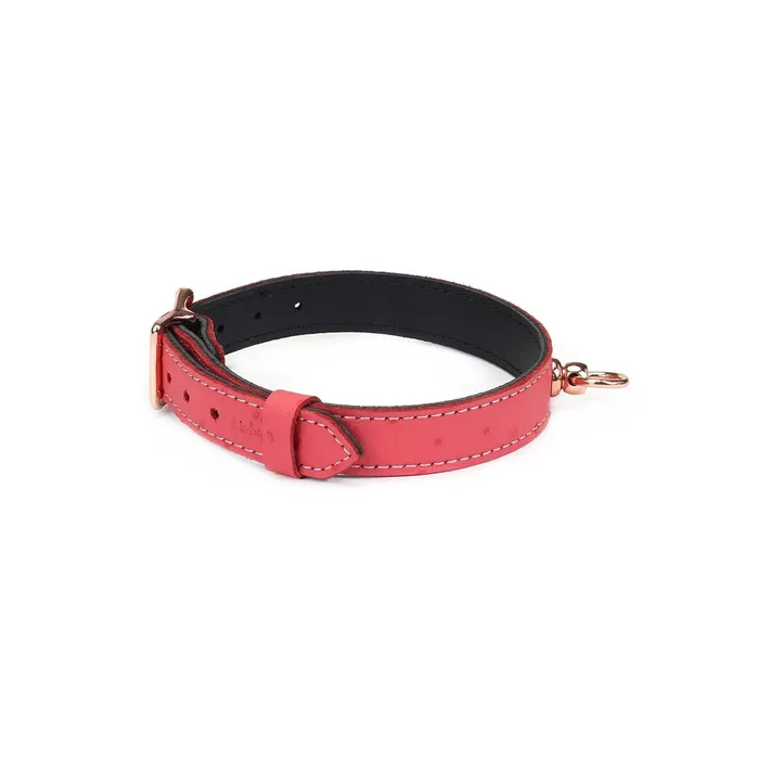 Liebe Seele Male Sex Toys | Liebe Seele - Angel's Kiss - Smalle Choker Met O-ring - Luxe En exclusief ontwerp - Roze/Rosé Goud