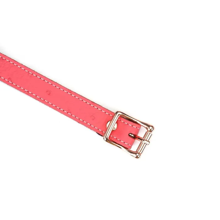 Liebe Seele Male Sex Toys | Liebe Seele - Angel's Kiss - Smalle Choker Met O-ring - Luxe En exclusief ontwerp - Roze/Rosé Goud
